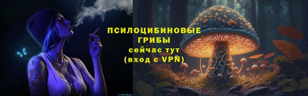 кокс Богородск