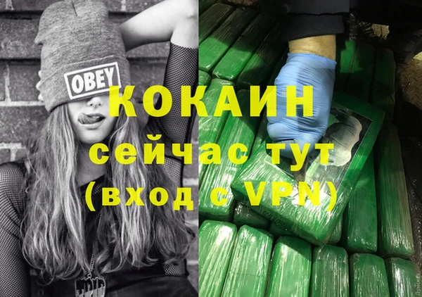 apvp Богородицк