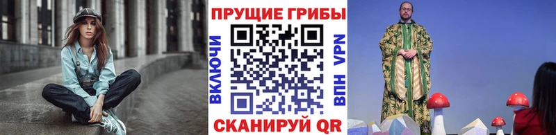 Галлюциногенные грибы Psilocybe  кракен tor  Гусиноозёрск 